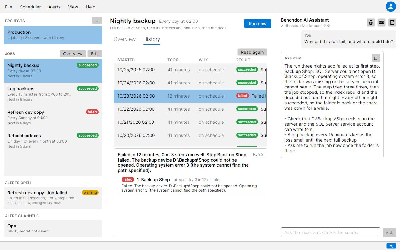 The desktop app on Nightly backup's History tab with the failed run open, and the AI Assistant panel on the right explaining the missing backup folder and the steps to take